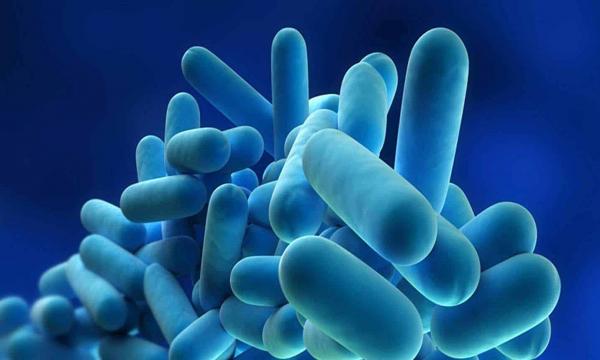 La Valutazione del Rischio da Legionella - 28 giugno Aula Virtuale